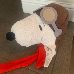Snoopy Doghouse Costume
